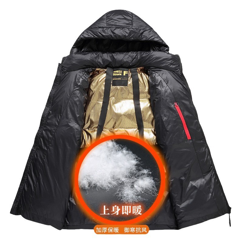 import白底实物图