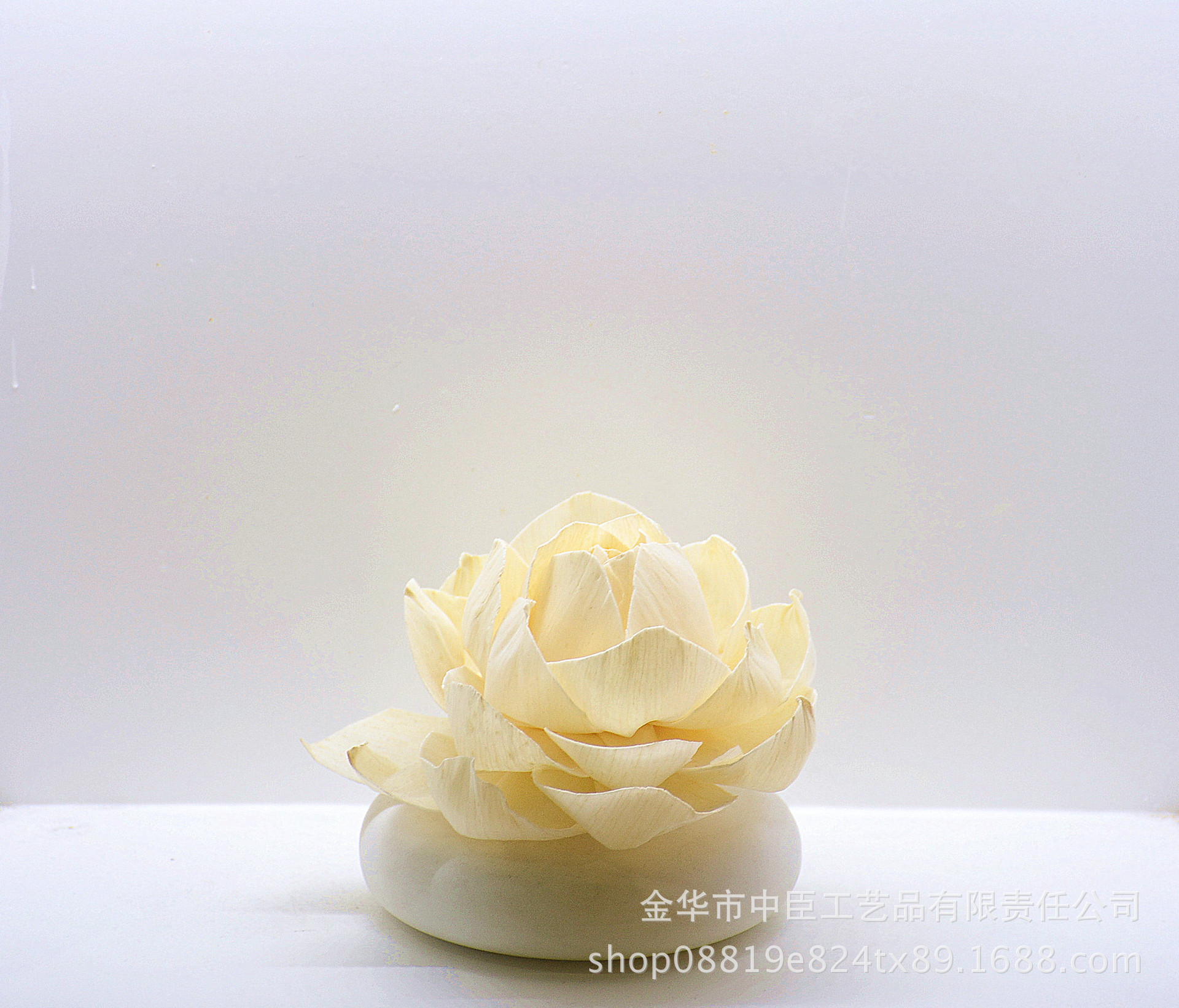 花瓶/家居装饰摆件/生态瓶/亚克力花瓶/竹柏盆栽花瓶细节图