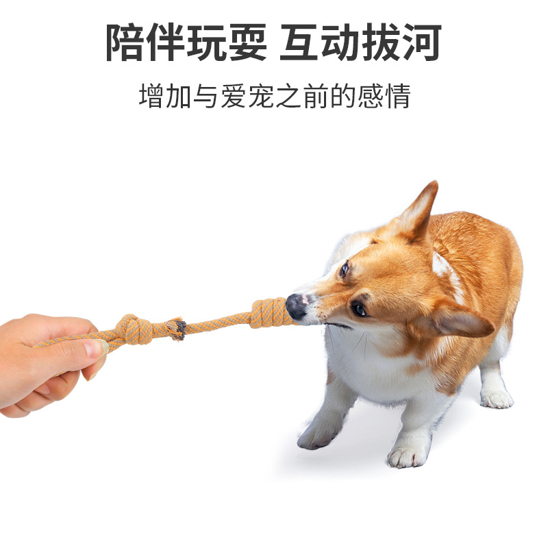 宠物玩具/宠物用品/宠物毛绒玩具/宠物玩具小型昂贵/网球发声瓶产品图