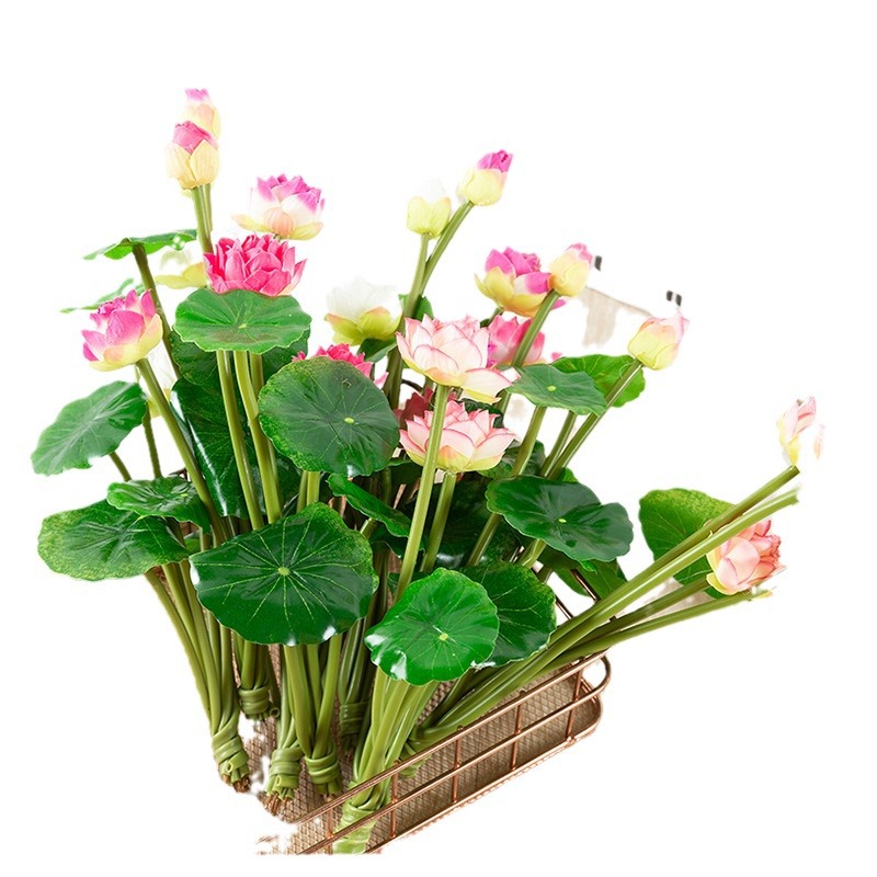 朵芙仿真花莲花批发 客厅池塘小荷花婚礼造型假花田园生活植物白底实物图