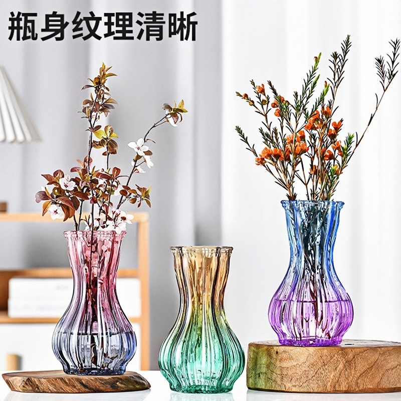 Nordic garlic-patterned glass vase with a transparent tabletop for living room decoration, ins style, high appearance level, dried fresh flower vase details Picture