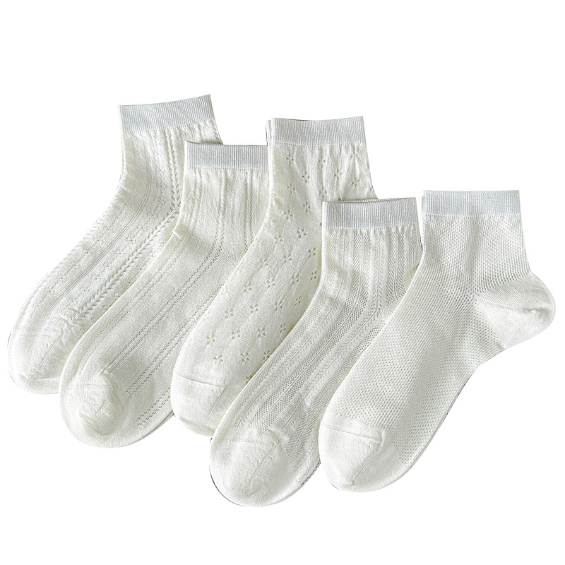 import白底实物图