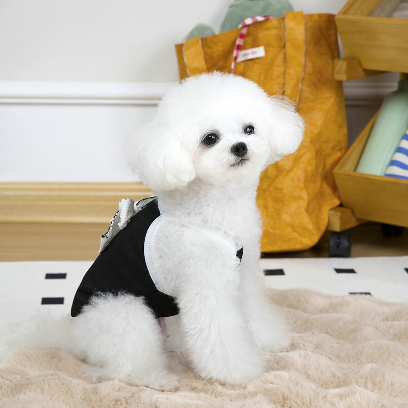 狗狗服装实物图