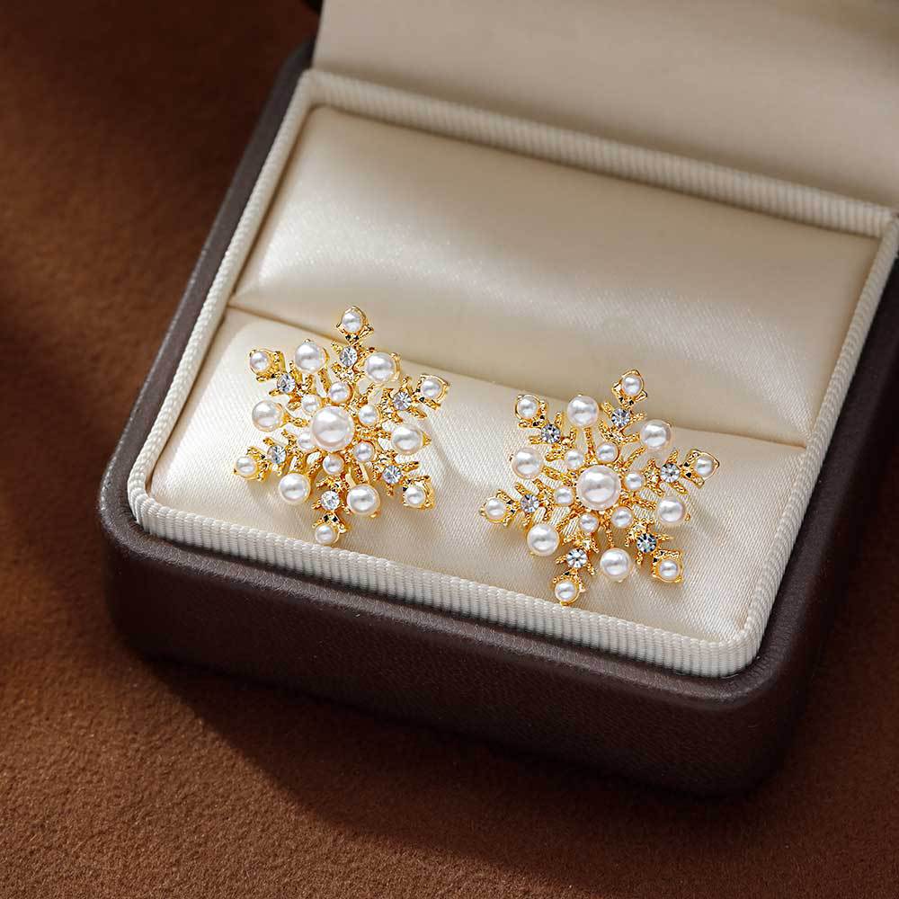 Hyacinth925 Silver Needle Exquisite Zircon Snowflake Stud Earrings Autumn/Winter 2026 New bestseller, high-end and unique design earrings for women Application Scenario