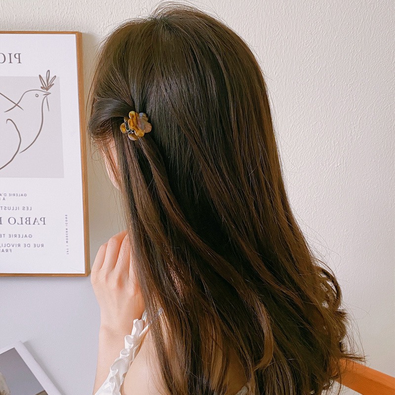 Exquisite and light luxury acetate flower small grab hair accessories, small hair clips, bangs clips, small hair clips, women's side clips, new details Picture