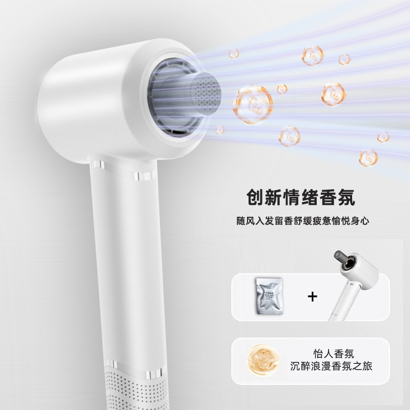 吹风机/吹风机电吹风/高速无刷吹风机/电吹风/地面吹干机细节图