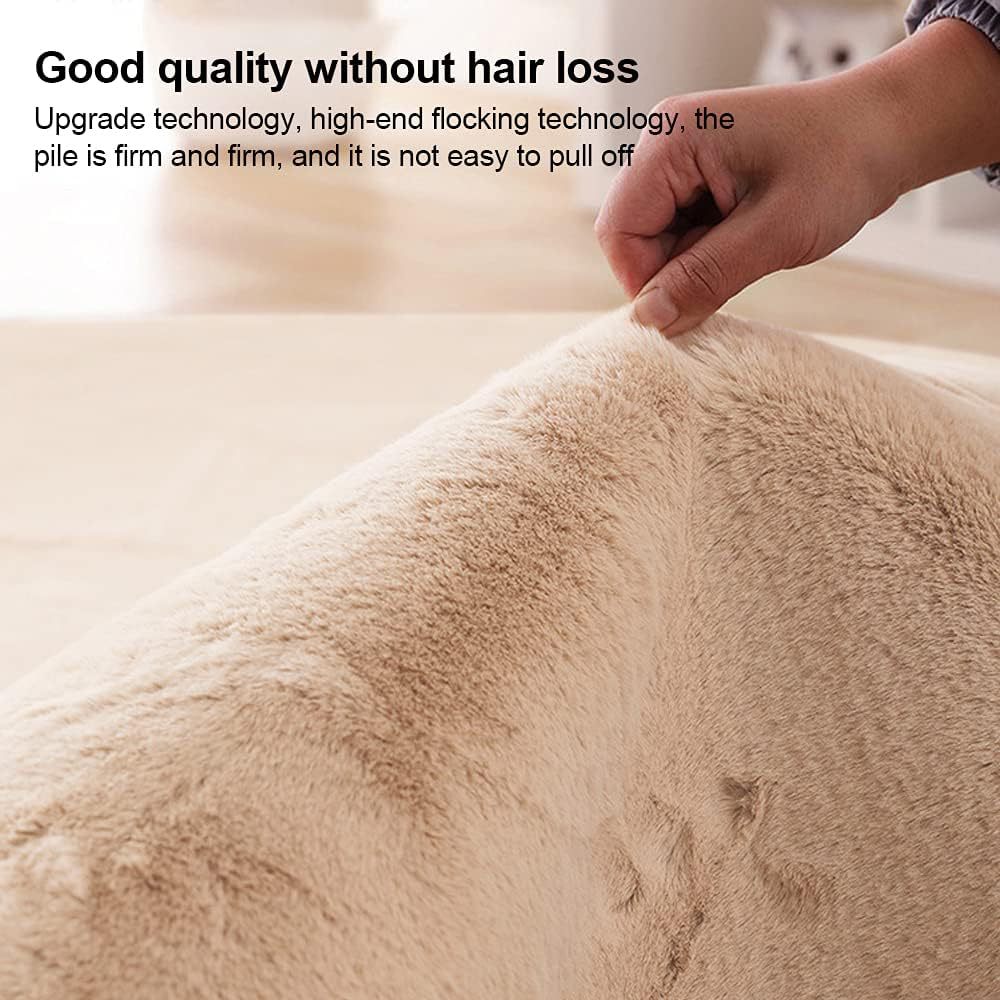 New style of light luxury floor mat, bedroom tatami, bedside carpet, living room imitation rabbit fur, and bedside blanket Application Scenario