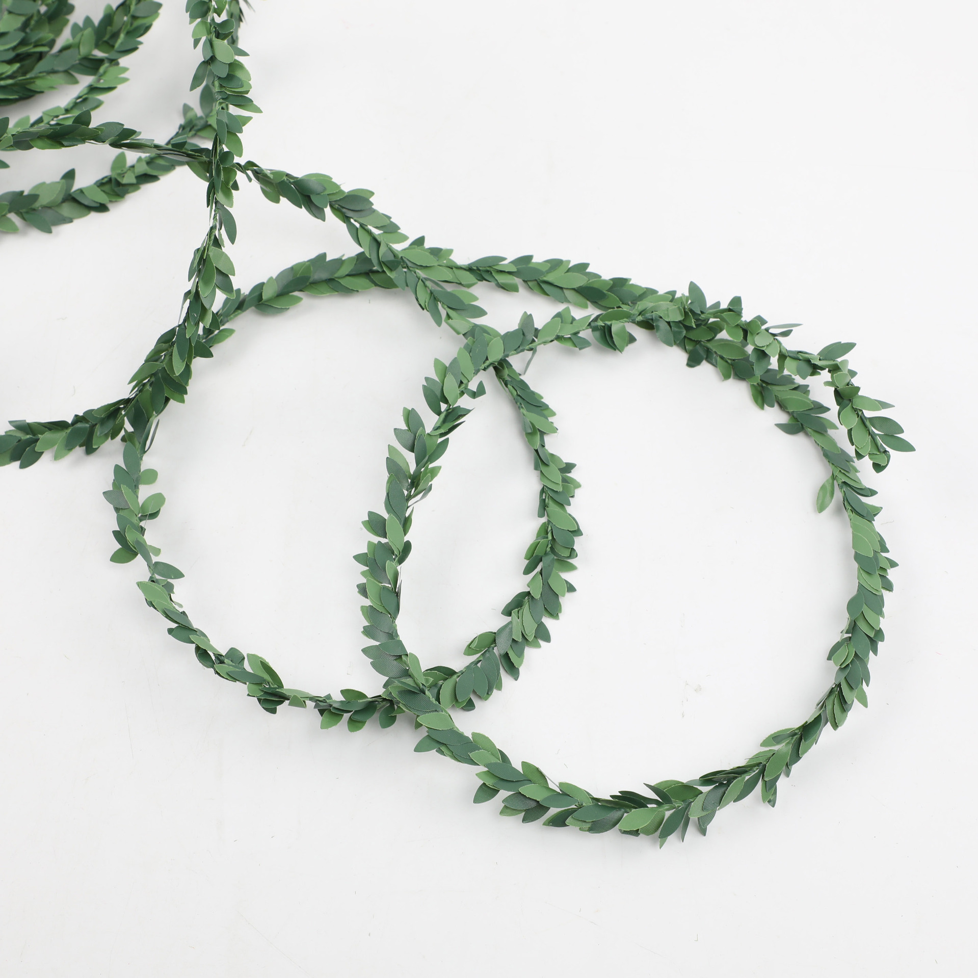 仿真蕨类实物图