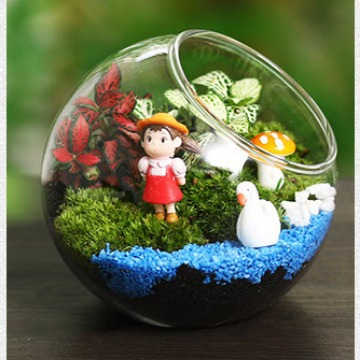 Micro-landscape ecological bottle, transparent glass hanging succulent plant moss hanging bottle, diy handcrafted green plant landscape vase Specification image