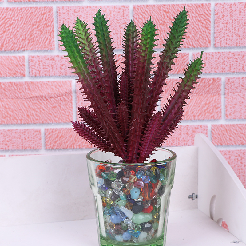 多肉植物蝴蝶兰仿真花盆景儿童盆栽多肉仿真花种子装饰摆件