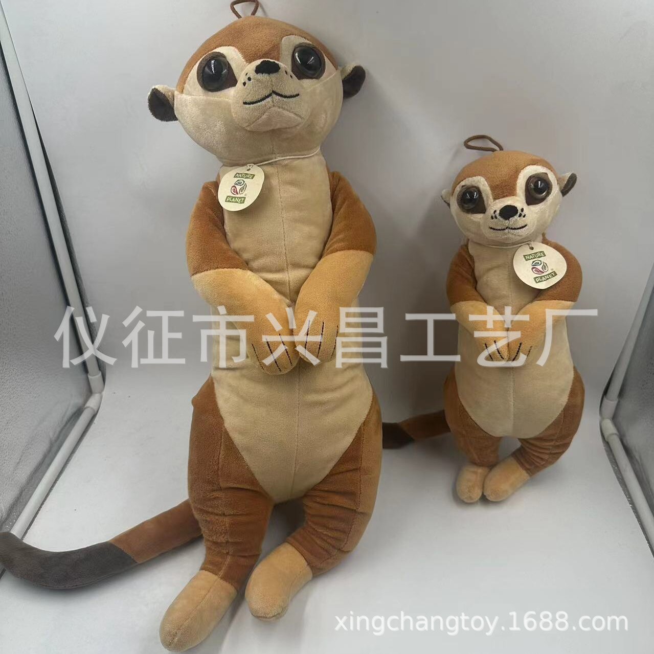 仿真大眼睛毛绒玩具浣熊，现货库存处理，动物园旅游纪念品礼品