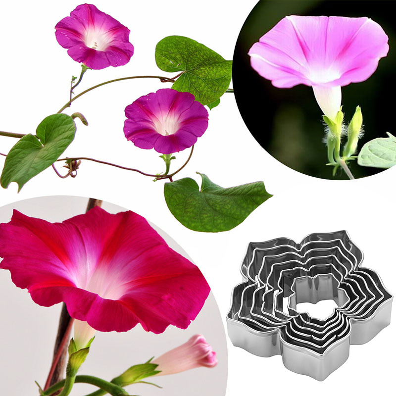 厨房用品烘培模具矮牵牛花不锈钢英式翻糖糖花模具 英式糖花切模 造型模具套装A452