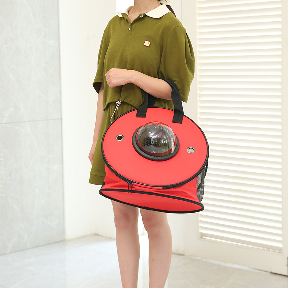 猫猫包、箱实物图