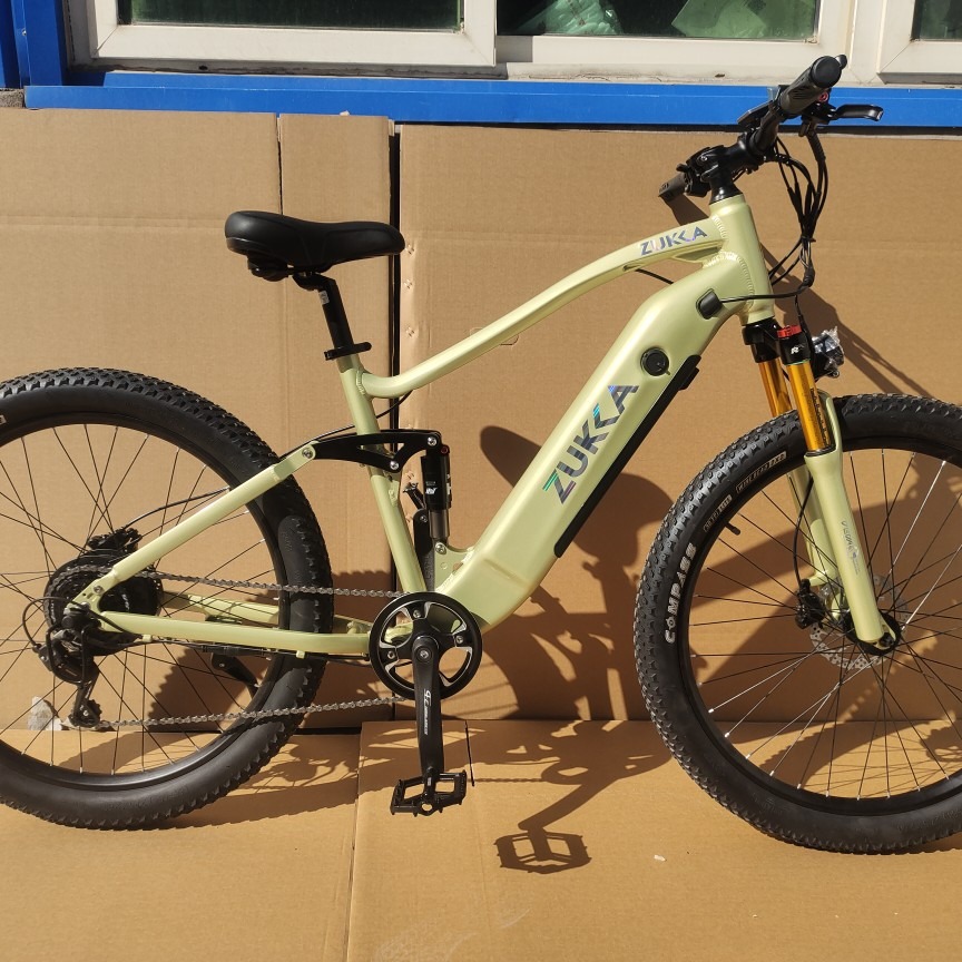 Electric lithium battery-assisted mountain biking, adult variable speed, male and female student cross-country racing, rear-mounted motor