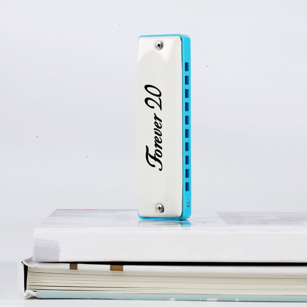 吹奏类乐器实物图