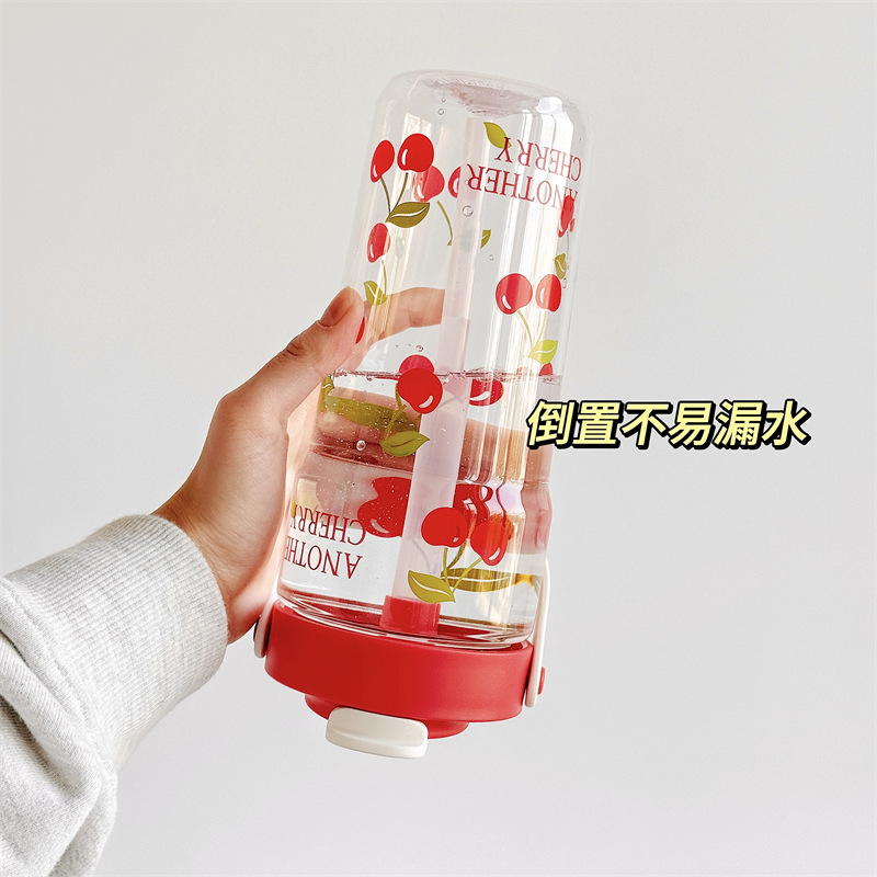 可爱车载吸管水杯女生高颜值大容量2025新款学生成人夏季便携杯子 Application Scenario