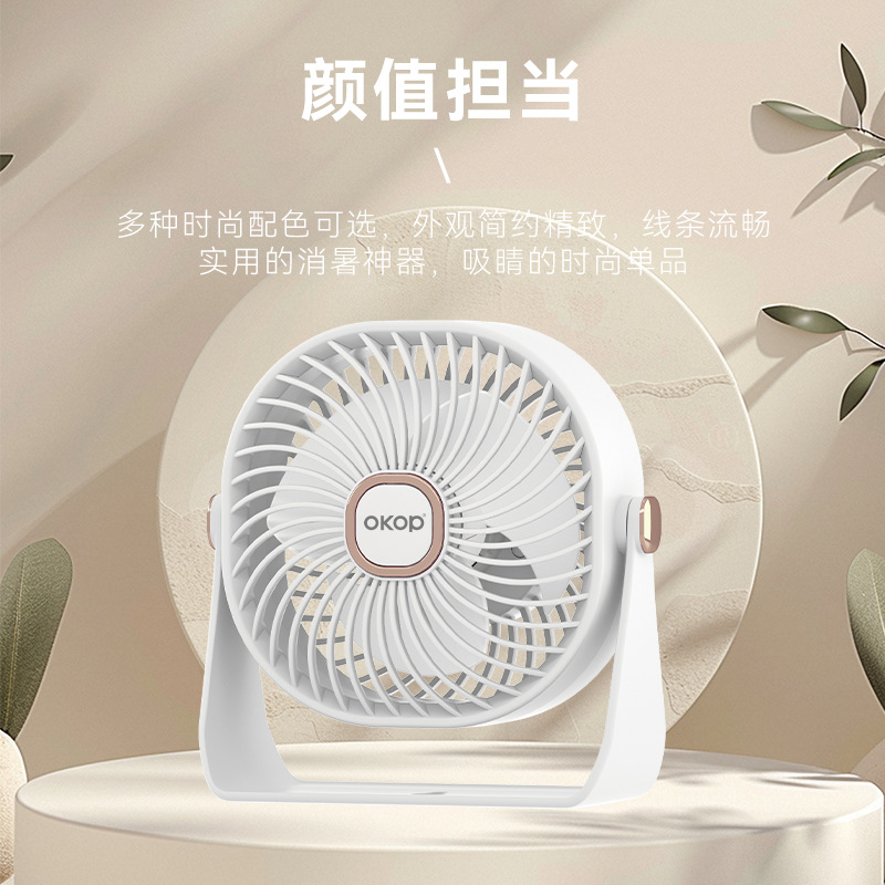 风扇/变频20寸电风扇/电风扇/小型喷雾风扇/吊风扇产品图