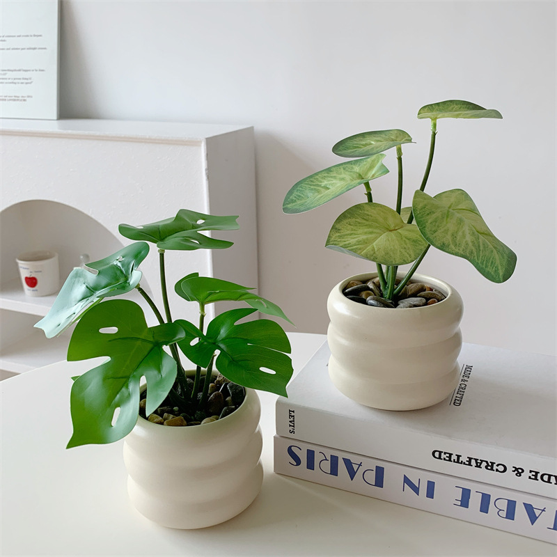 仿真植物实物图