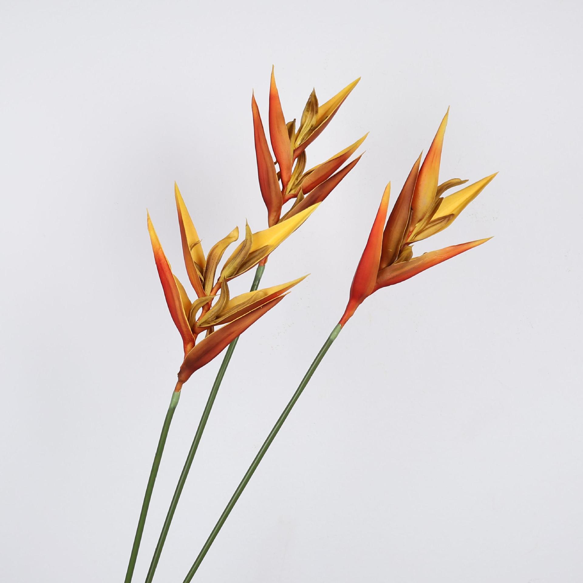 仿真鹤望兰火鹤天堂鸟仿真花假花婚庆摄影道具造景插花花材装饰花