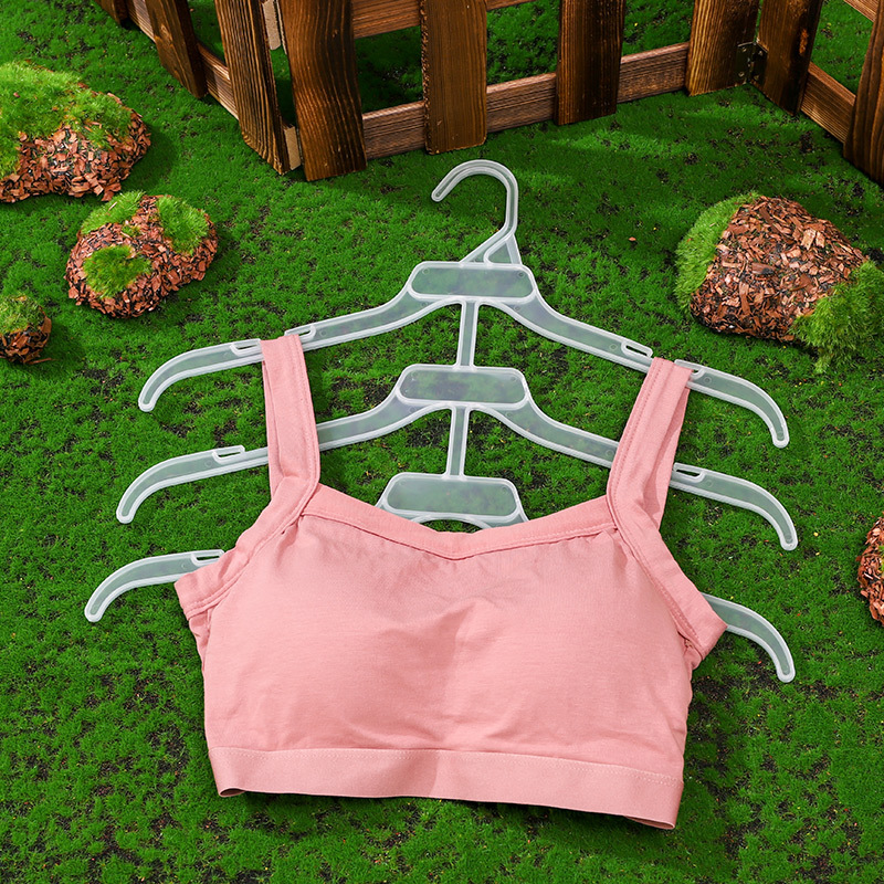Inner clothes hanger, plastic bra rack, adult underwear and underpants clip, household transparent men's and women's underwear display clip Application Scenario