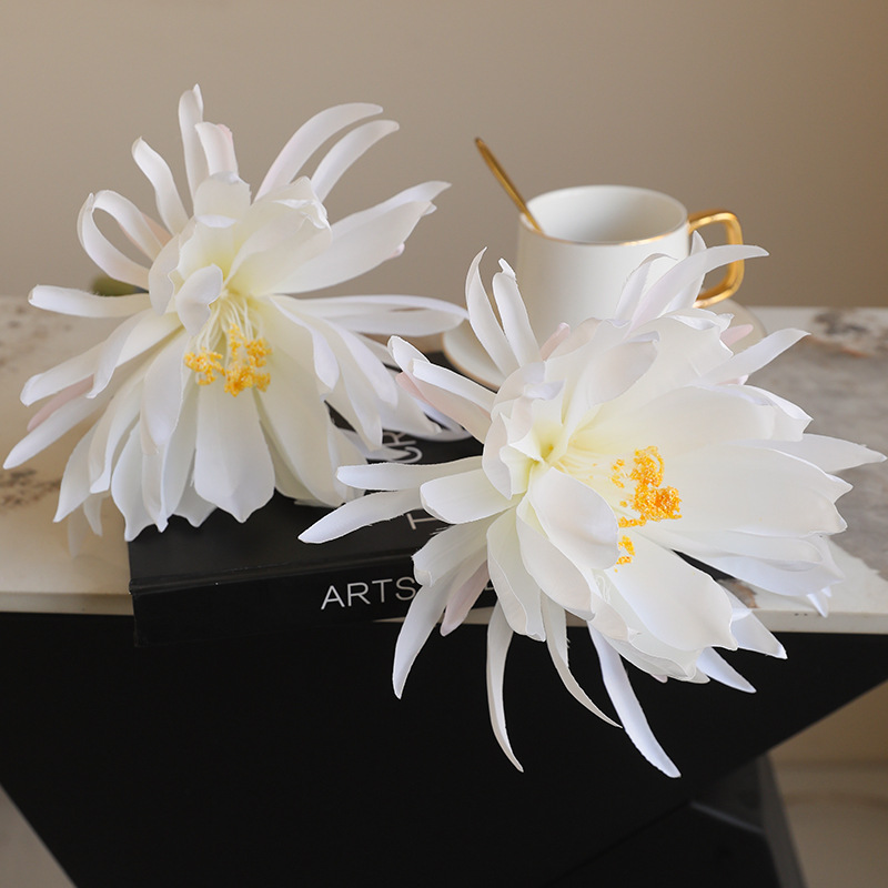 花盆装饰实物图