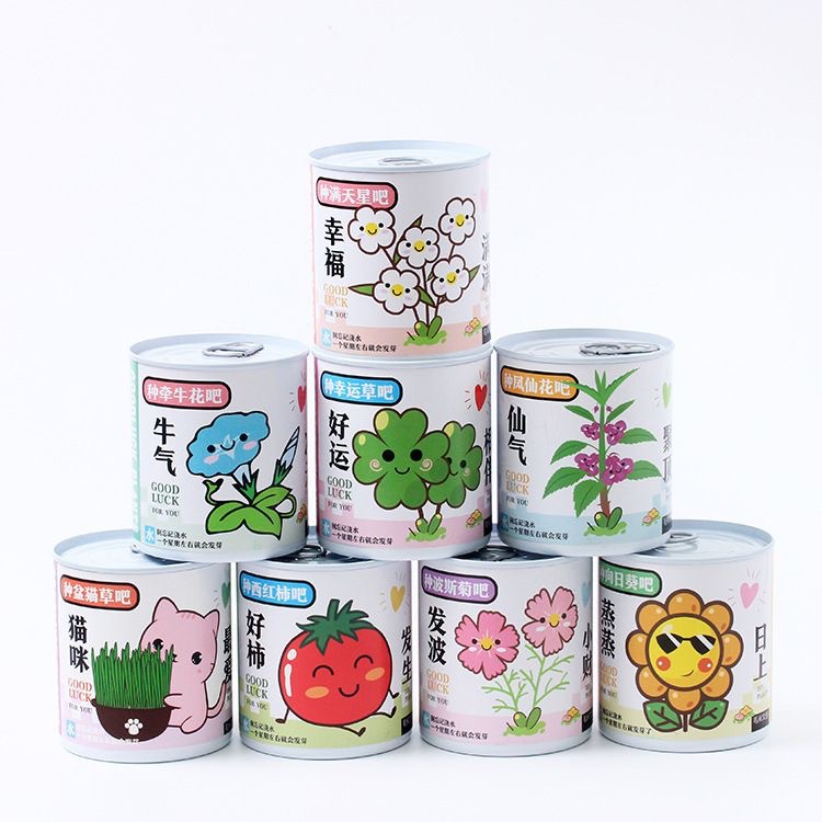 Kindergarten children grow small potted plants. Students grow mini fruits. Small potted plants. Blind boxes. Green plants on the desks in the office Item Picture