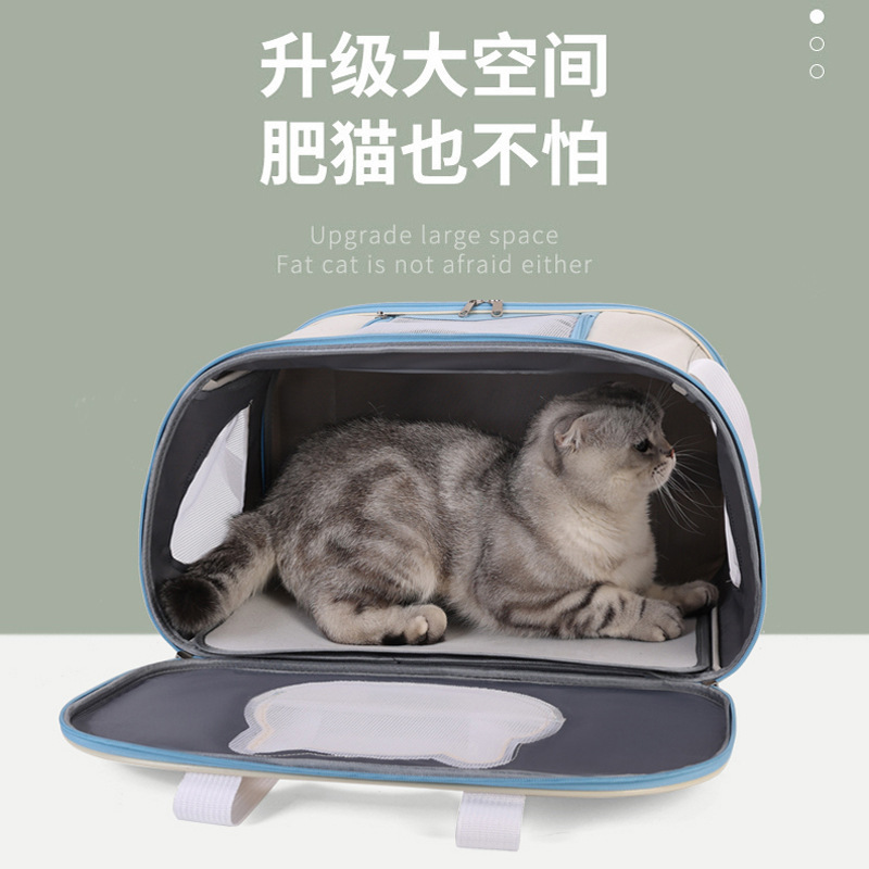 猫猫包、箱实物图