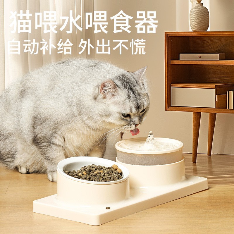 Original and new pet double-bowl cat automatic water dispenser, slanted cat bowl, ceramic water and food integrated cat food bowl tableware details Picture