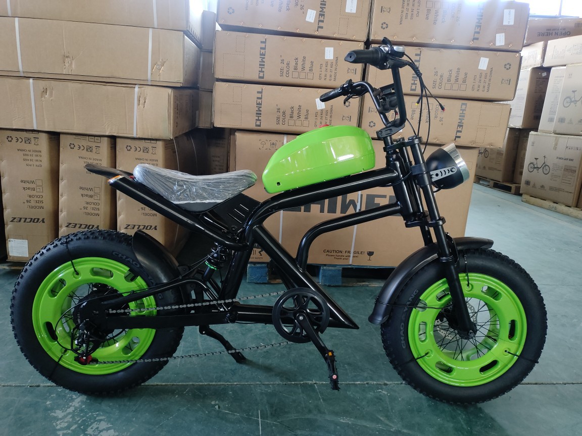 The new Harley-Davidson electric-assisted bicycle motorcycle 48v20ah high-power fat tire off-road motorcycle for snow