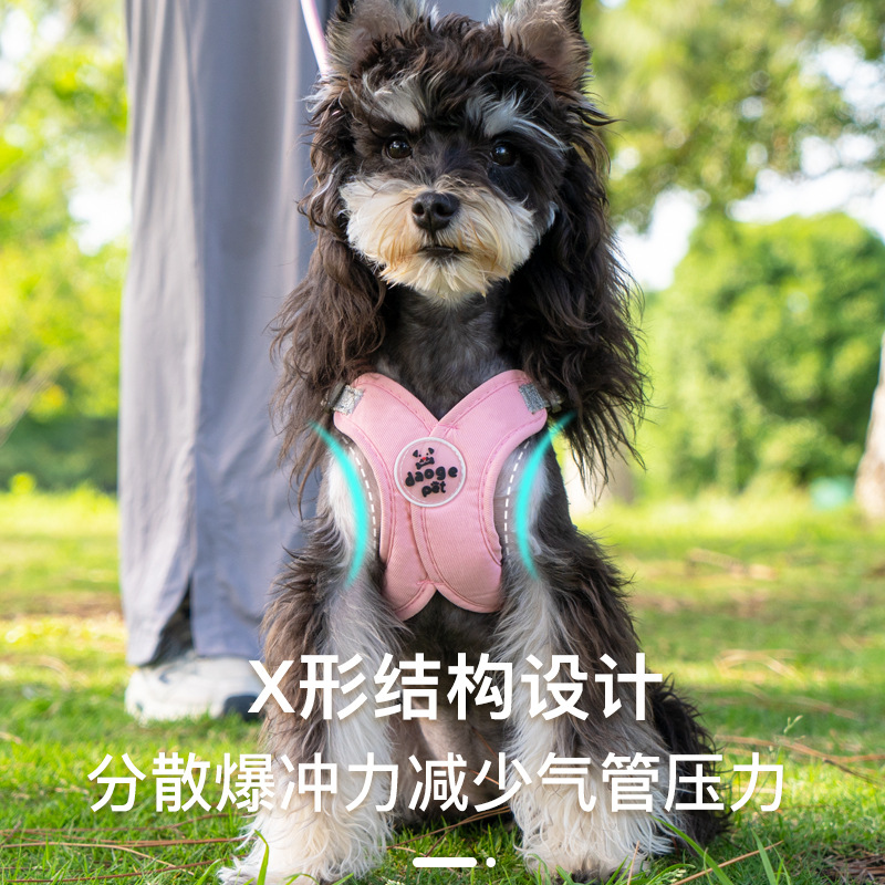 Rongka Pet Cross-border Pet retractable Leash X-shaped chest and back Dog leash Schnauzer Bichon Bear Dog Walking chest and back Dog supplies Application Scenario
