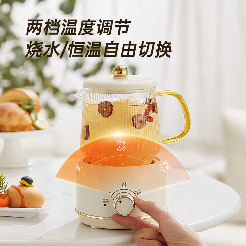多功能养生壶家用办公室迷你小型花茶壶mini烧水壶煮茶礼盒 套装细节图