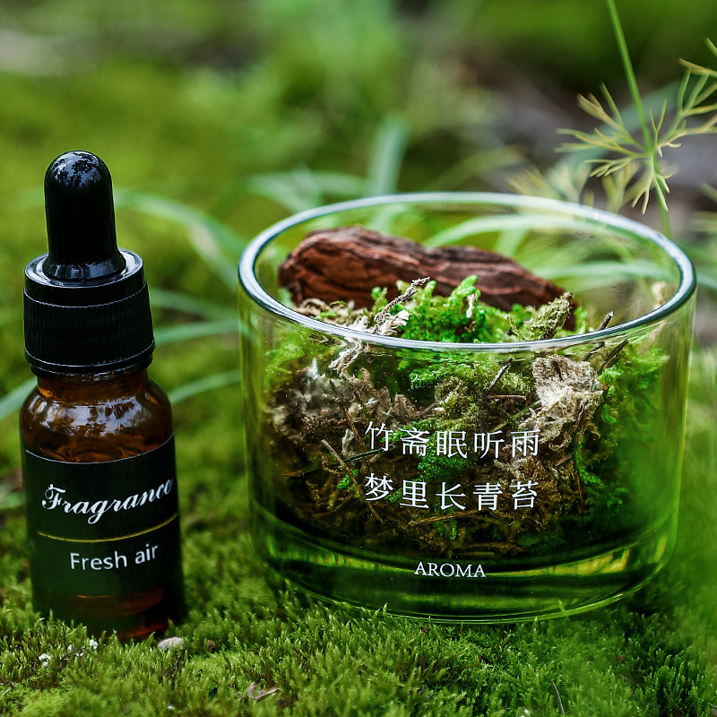 Dreamy Moss Diffuser Cup Aromatherapy Decoration, Creative diffuser essential Oil, Dragon Boat Festival Gift Aromatherapy decoration details Picture