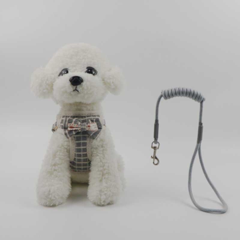 Rongka Pet Cross-border Vest dog leash with chest and back, small and medium-sized dog chest and back with bow net bag, dog walking leash and dog supplies details Picture