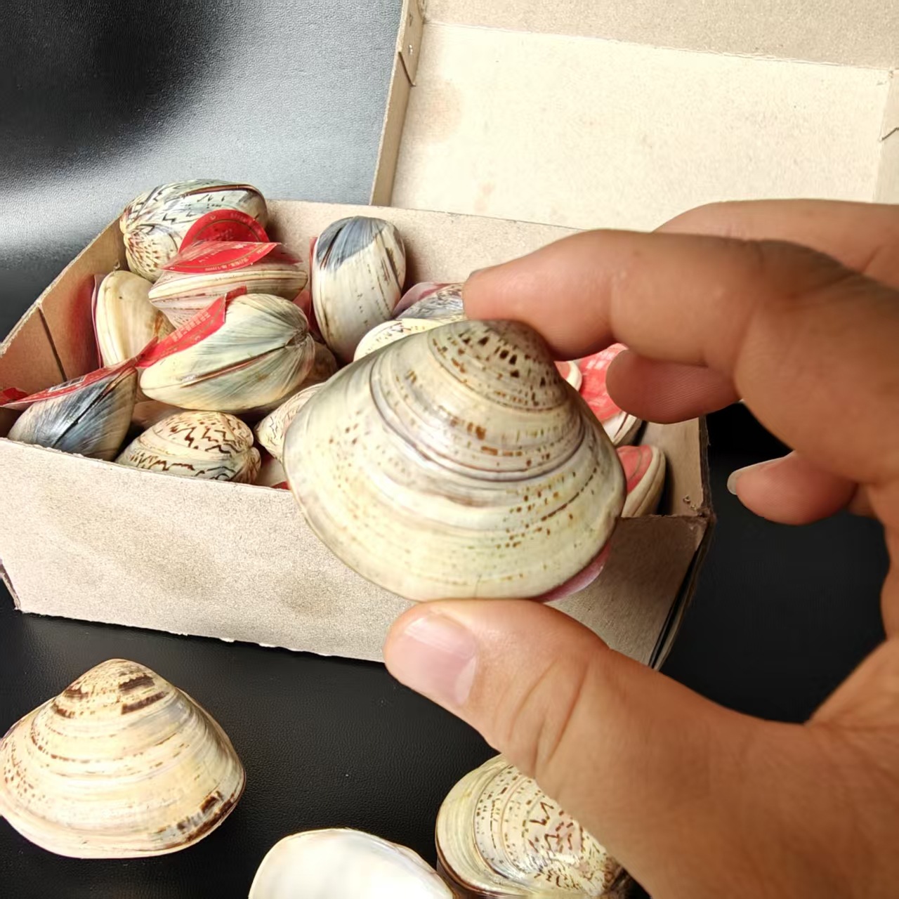 【2-11区】蛤蜊油 (型号：特3#) 50/盒 1000/蛤蜊油老国货贝壳油护手霜防裂干裂护肤老式嘎啦油歪子油1元批发细节图