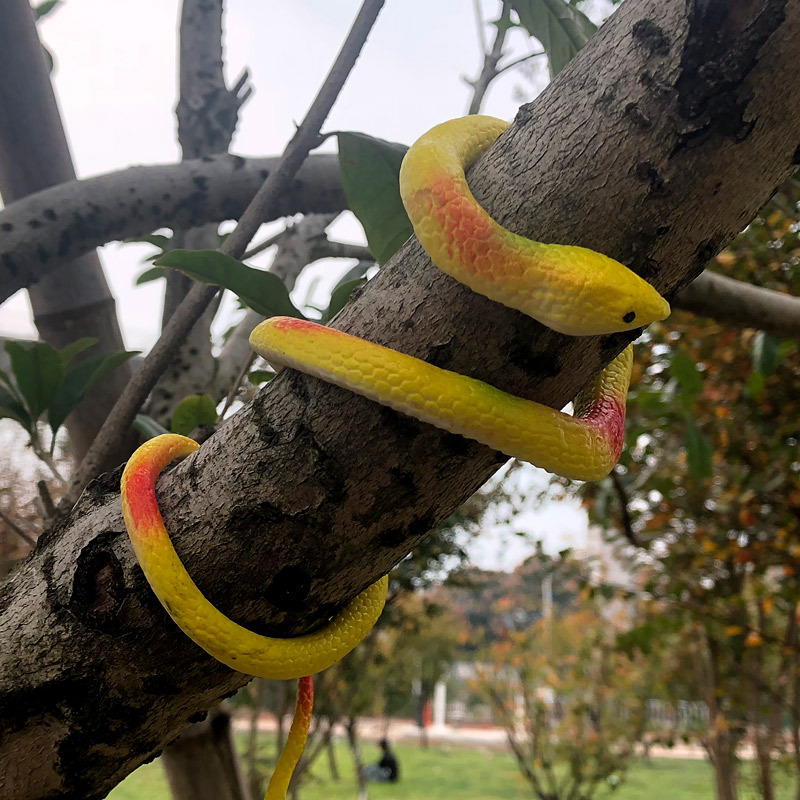 Prank snake, strange and unique soft rubber snake prank toy, 75CM fake snake, rubber snake, new and peculiar wholesale Application Scenario