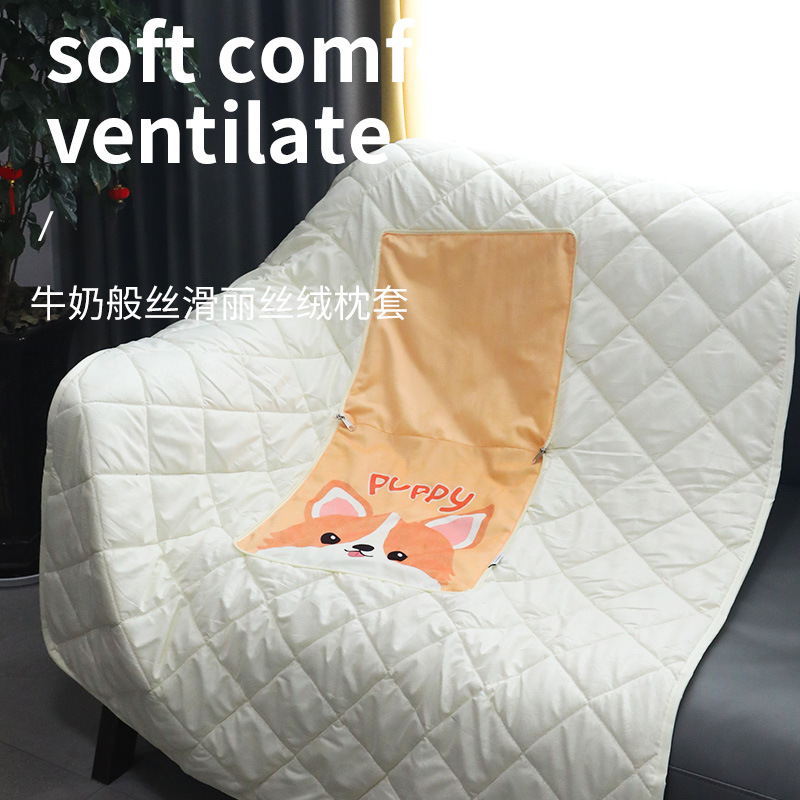 Cartoon pillow, office pillow, quilt, two-in-one, two-in-one cushion, logo printed, multi-functional car sofa details Picture