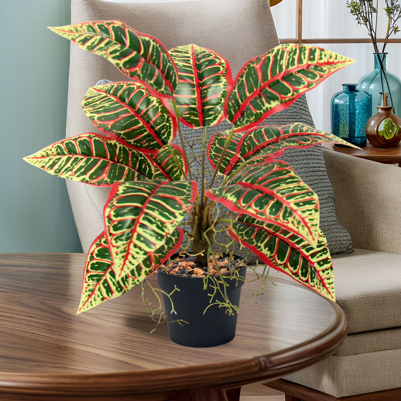 Indoor ornamental small potted plants with green leaves and red edges, succulents, flowers and green plants Specification image