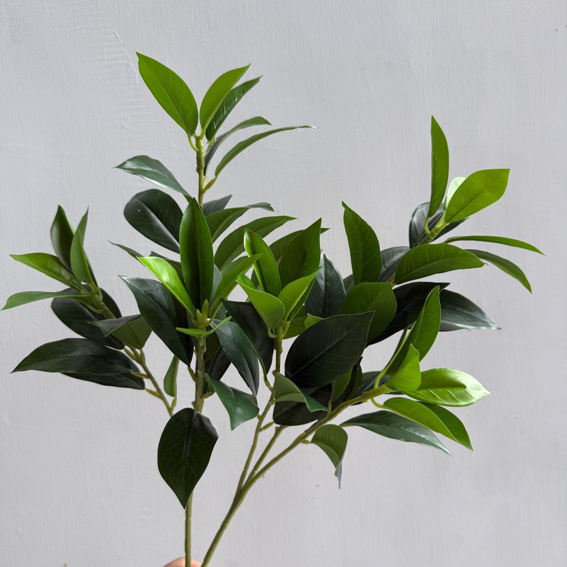 仿真柠檬叶 桔叶 桂花月桂叶 茶树叶 手感叶子植物造景树装饰家居