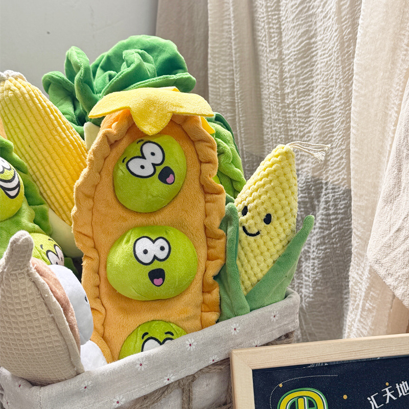 狗狗玩具实物图