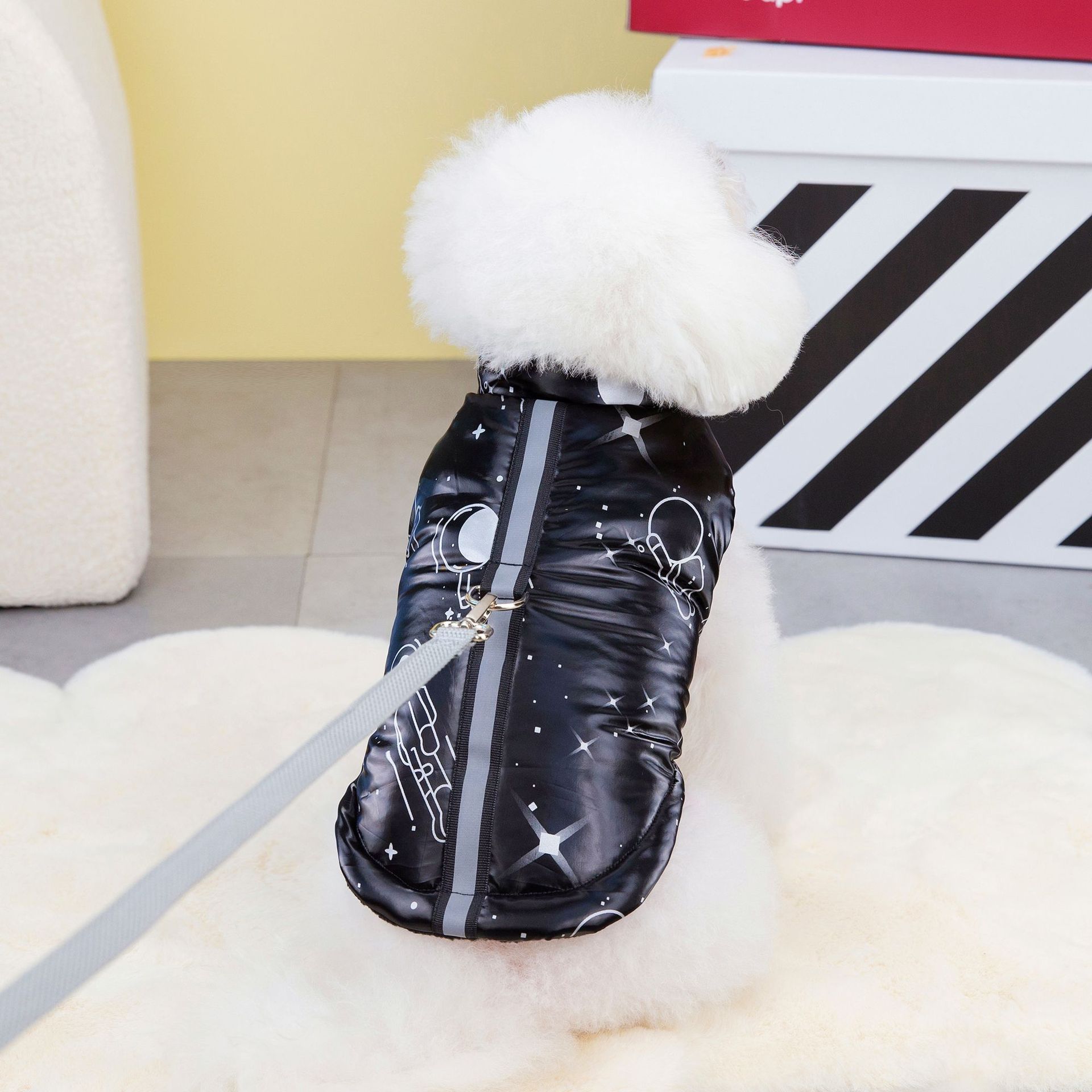 New pet clothing for autumn and winter 2023: Teddy Bear dog warm cotton-padded jacket, space travel casual cotton vest Application Scenario