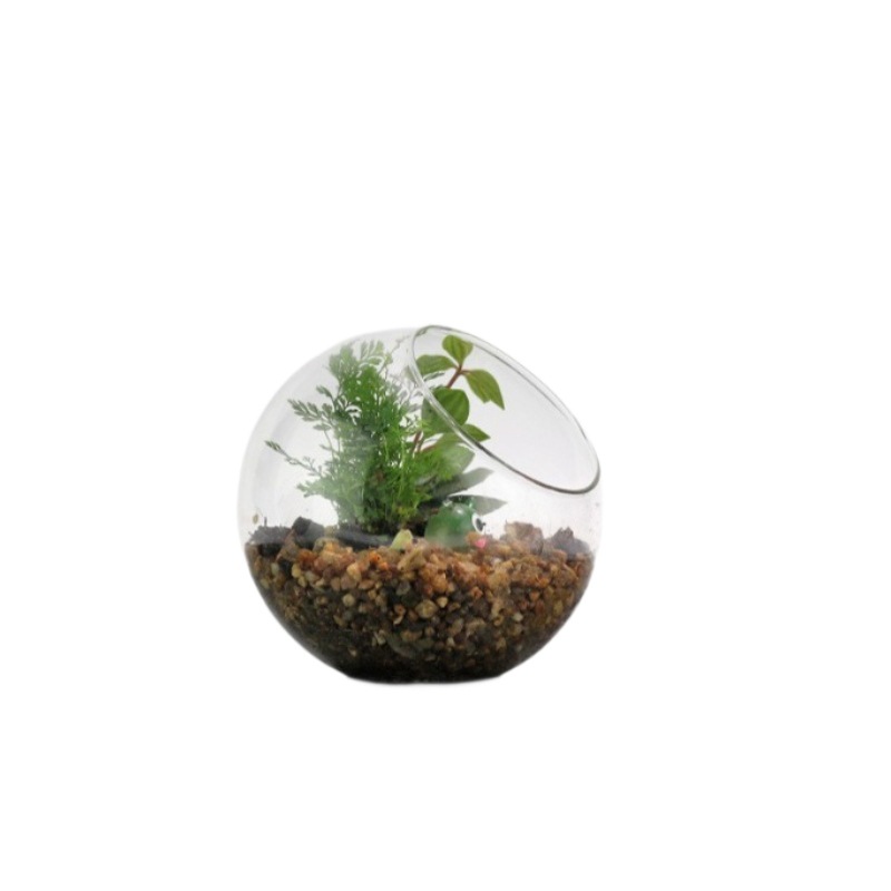 Micro-landscape ecological bottle, transparent glass hanging succulent plant moss hanging bottle, diy handcrafted green plant landscape vase Item Picture