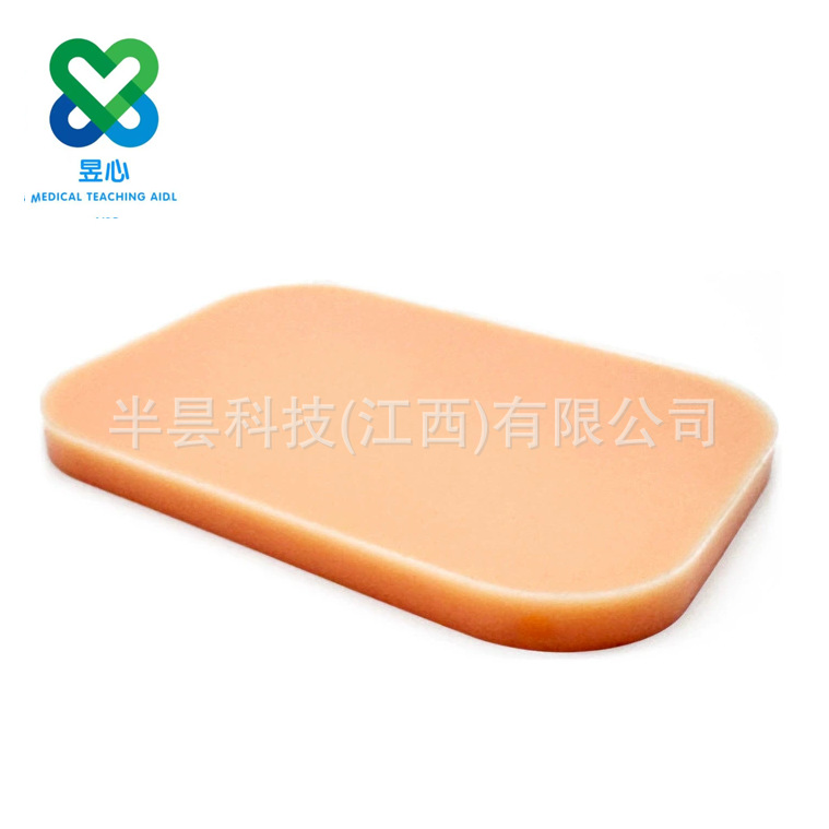 Orange rectangular pads for medical teaching AIDS, medical models, acupoint models, and teaching demonstration tools
