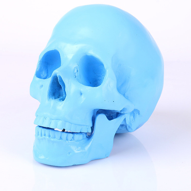 蓝色头骨装饰品创意摆件个性时尚艺术品装饰摆设工艺品产品图