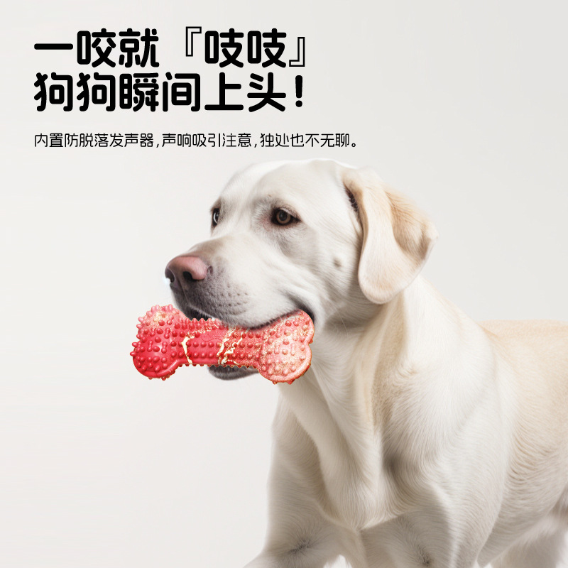 狗狗玩具耐咬解闷骨头玩具咬胶幼犬磨牙棒消耗体力益智玩具