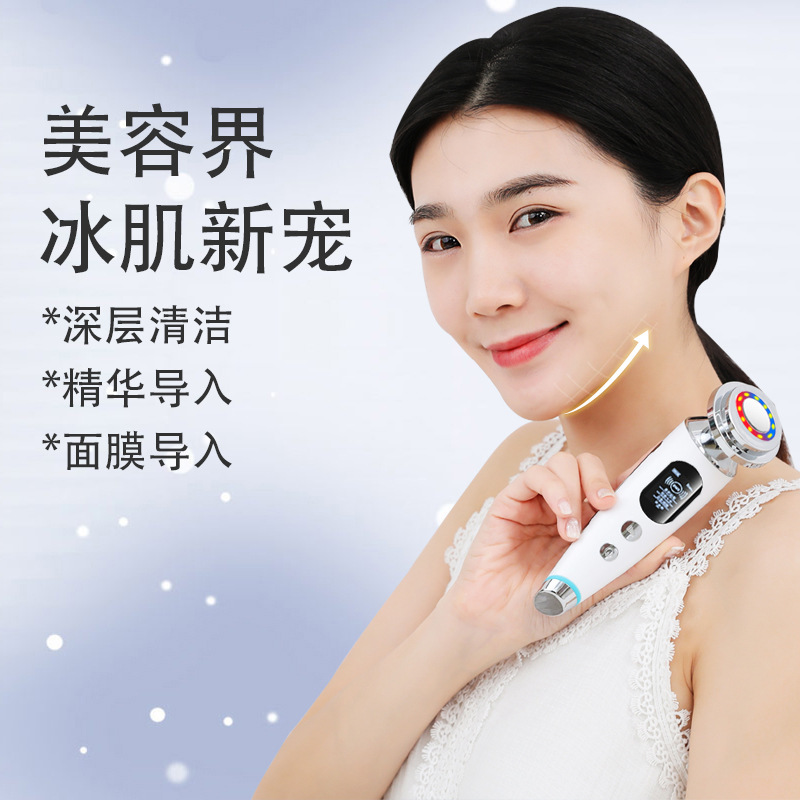 shanilak Color Light Warm Facial Vibration Introduction Device, Ion Ultrasonic Introduction and Output Device, Facial Beauty Device, Massager details Picture