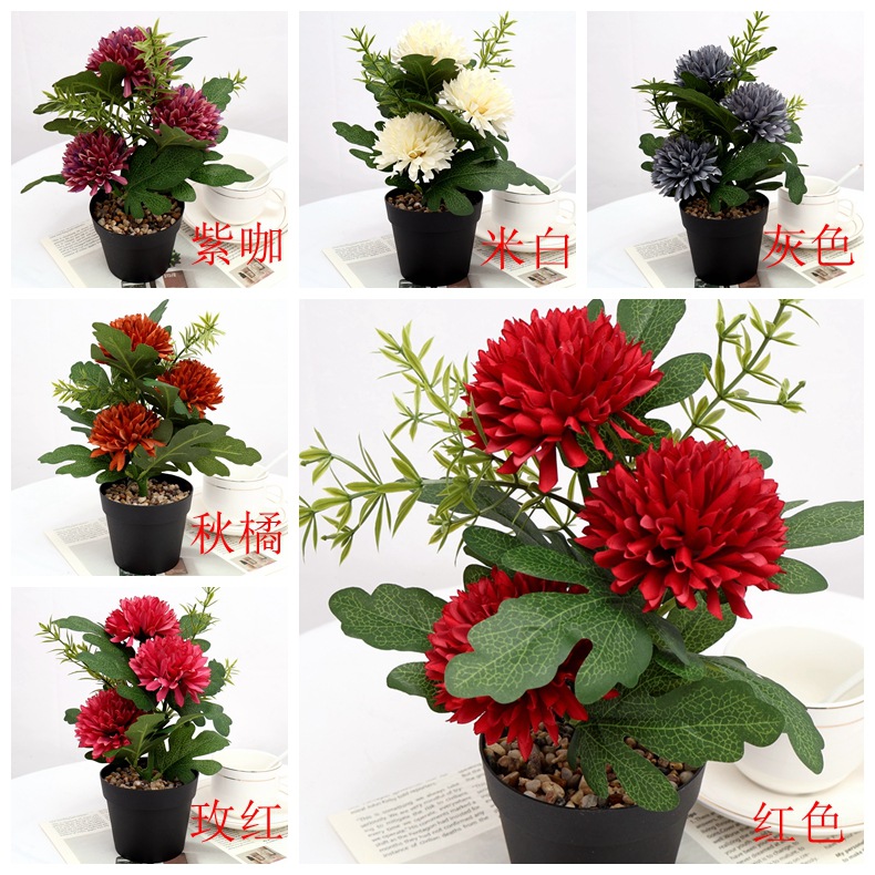 永生花/毛绒玩具花束/满天星/礼盒空/芦苇插花产品图