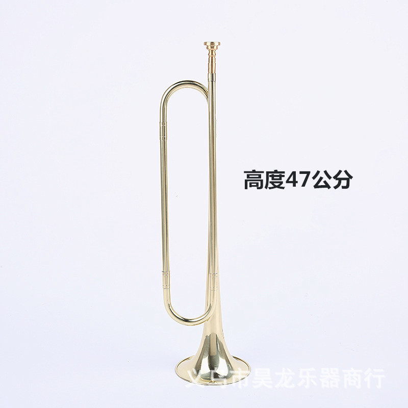 import白底实物图