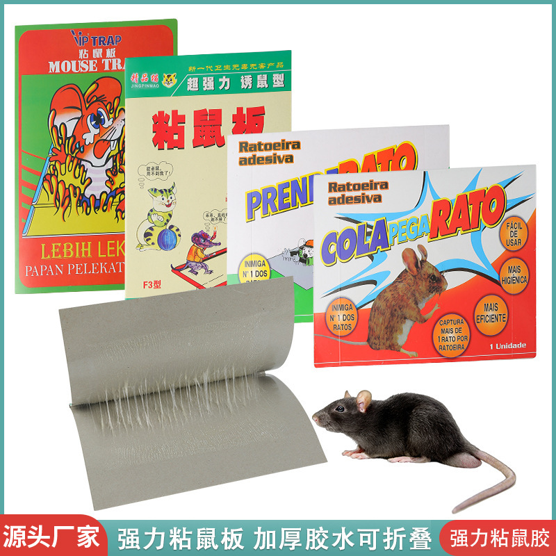 超强力粘鼠板家用灭鼠捕鼠器 捕老鼠粘鼠贴 老鼠贴老鼠粘粄老鼠药