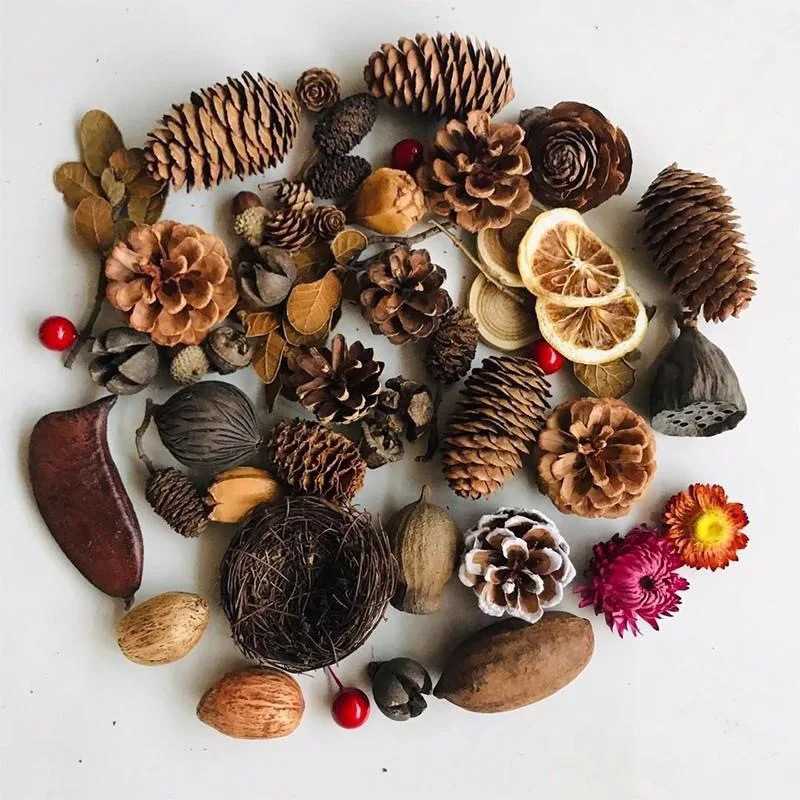 Wholesale dried pinecone flowers, Christmas decoration, DIY material packs, shooting prop accessories, natural Christmas pinecones Specification image