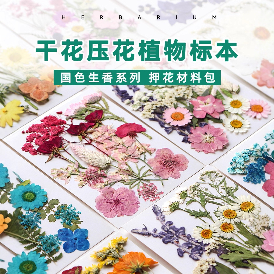 古法造纸术造纸框纸浆儿童手工diy材料包花草纸抄纸框幼儿园玩具 Application Scenario